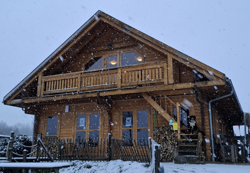 Winter in De Ijsmolenhoeve