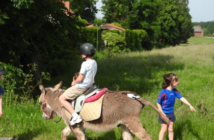 Ezelwandeling