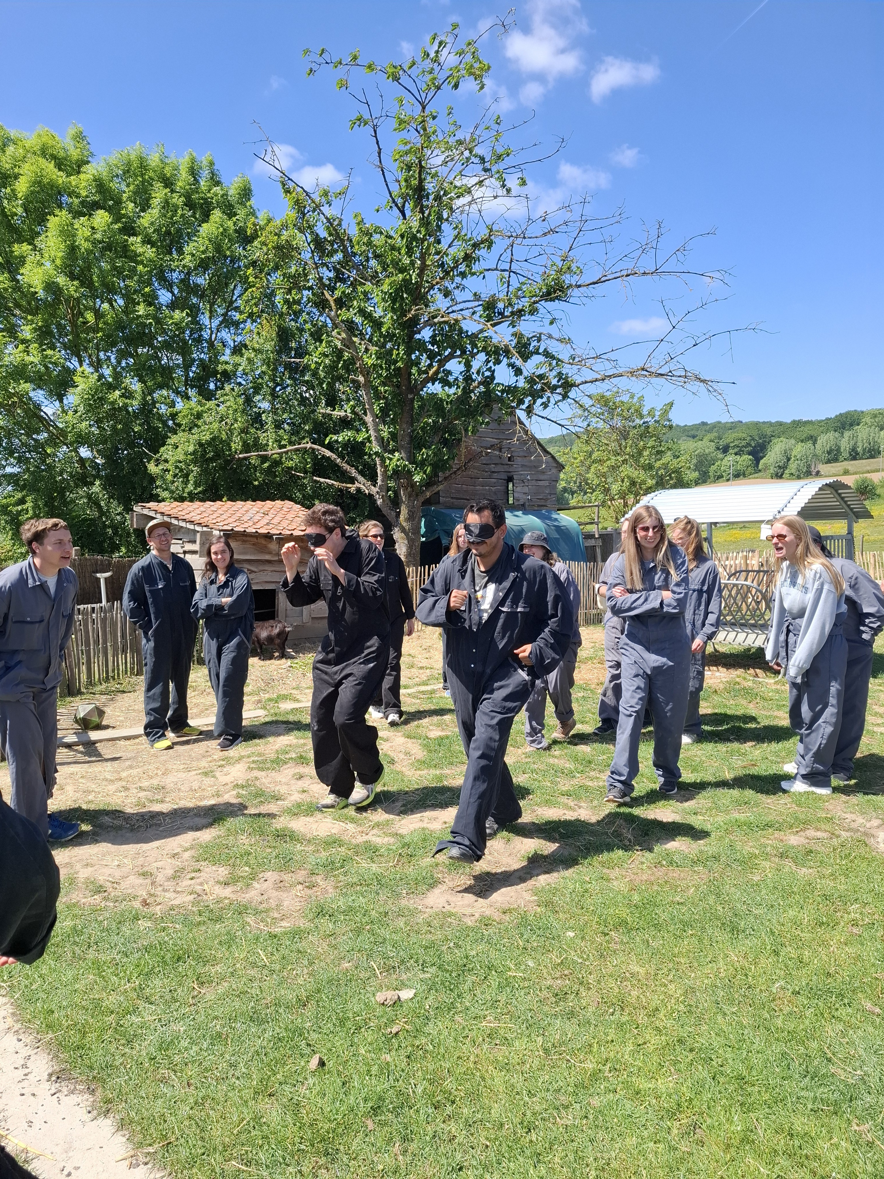 Boerderij-      teambuilding