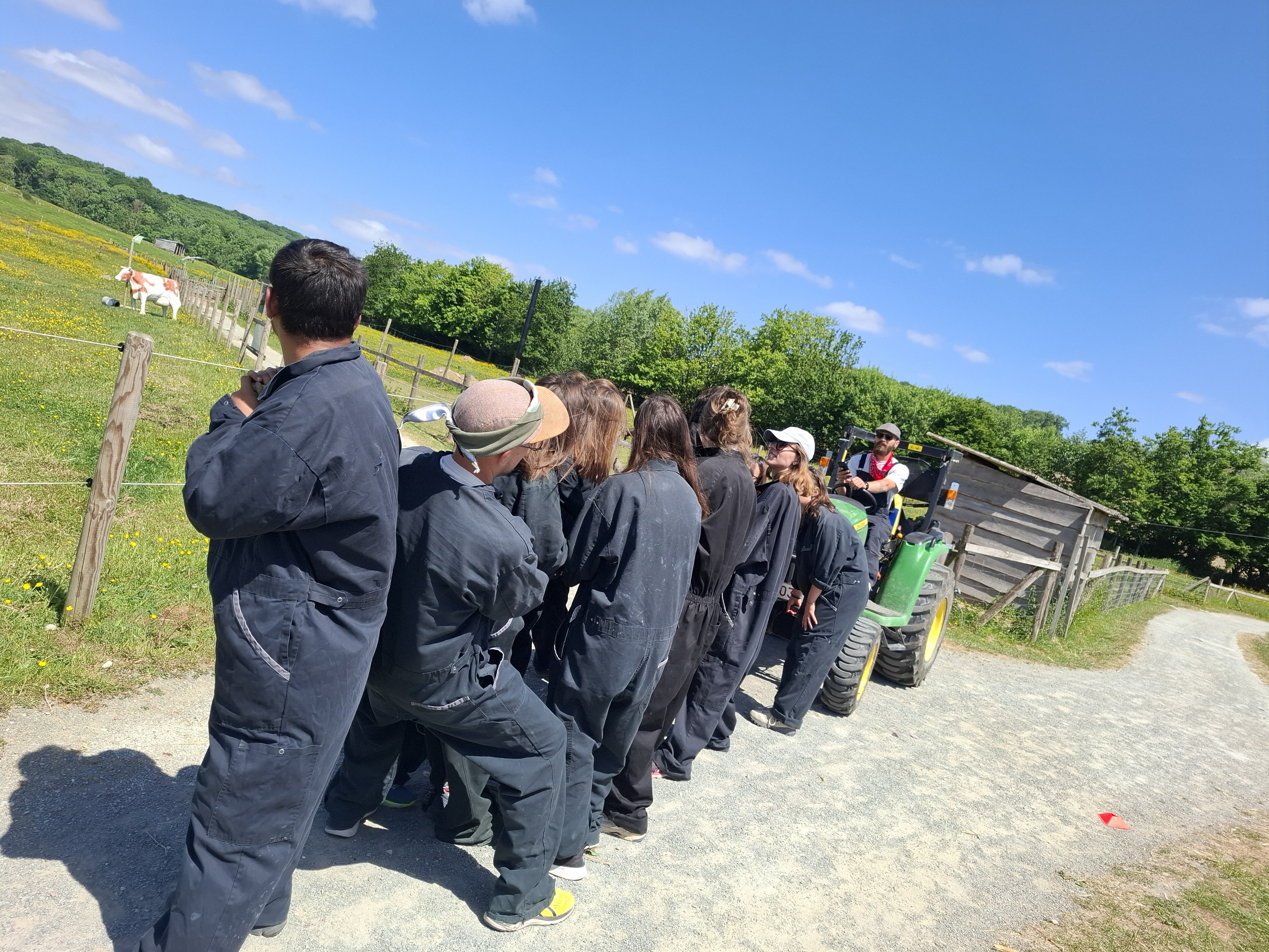 Boerderij-      teambuilding