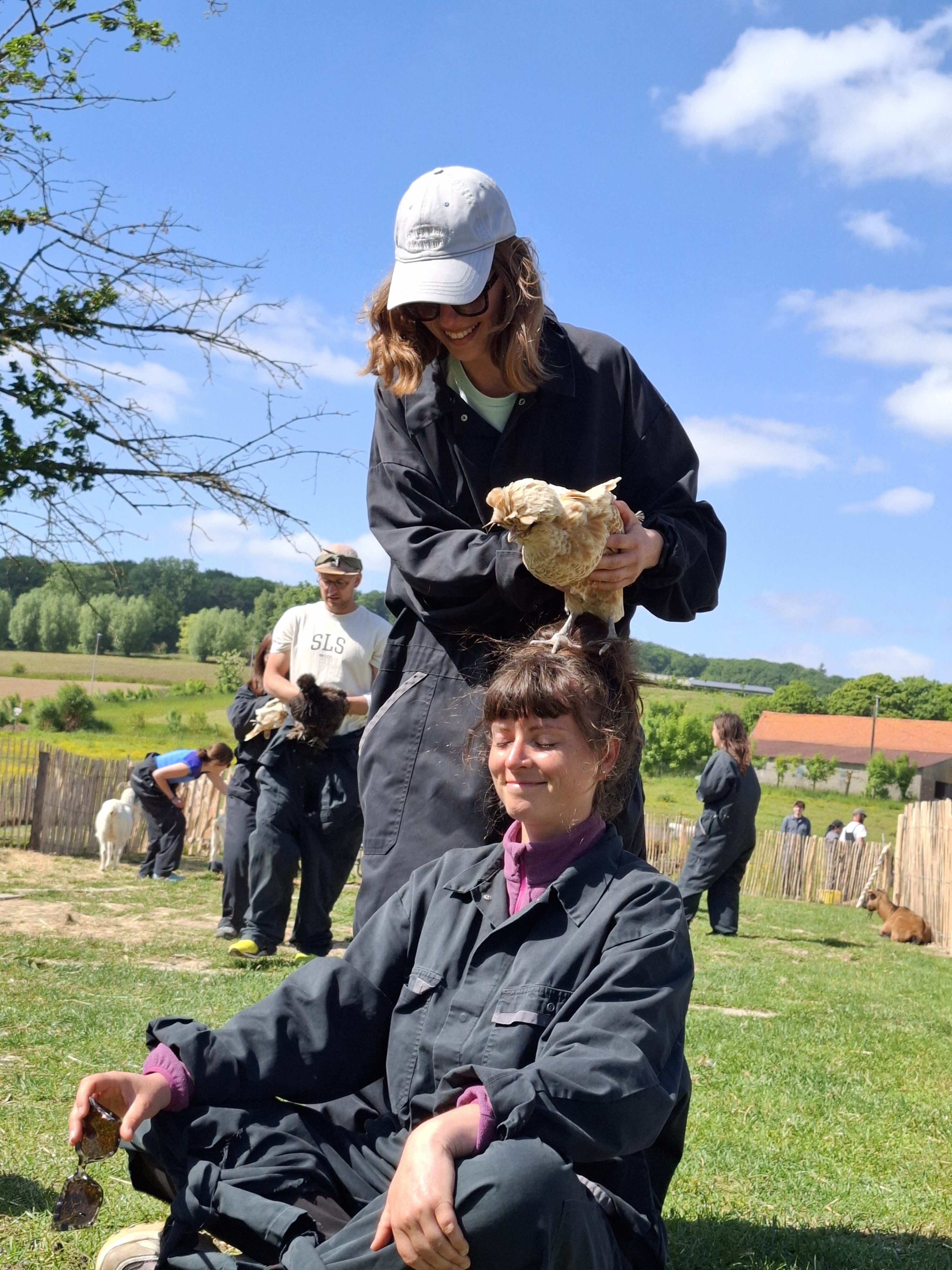 Boerderij-      teambuilding