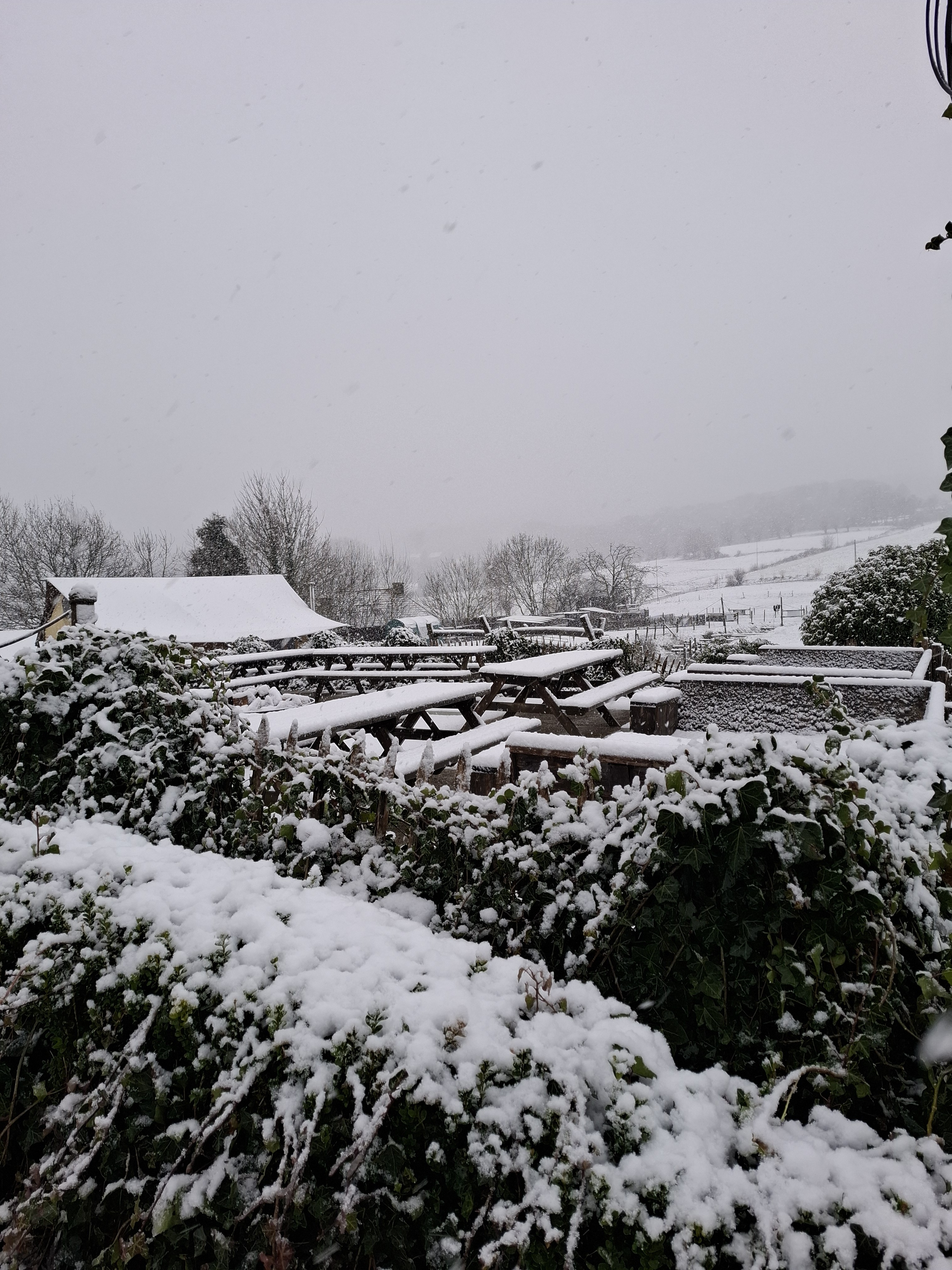 Winterwandeling met opwarmstops