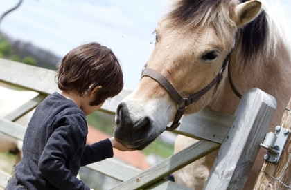 Boerderij pakket