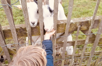 Boerderij-Adventurepakket