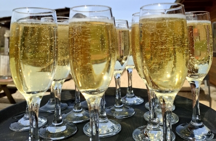 Feesten en recepties